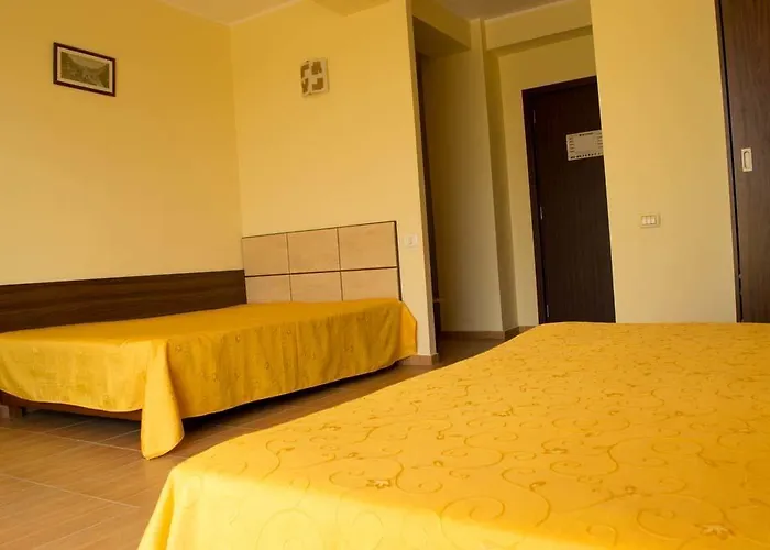 Elva إيفوري سود